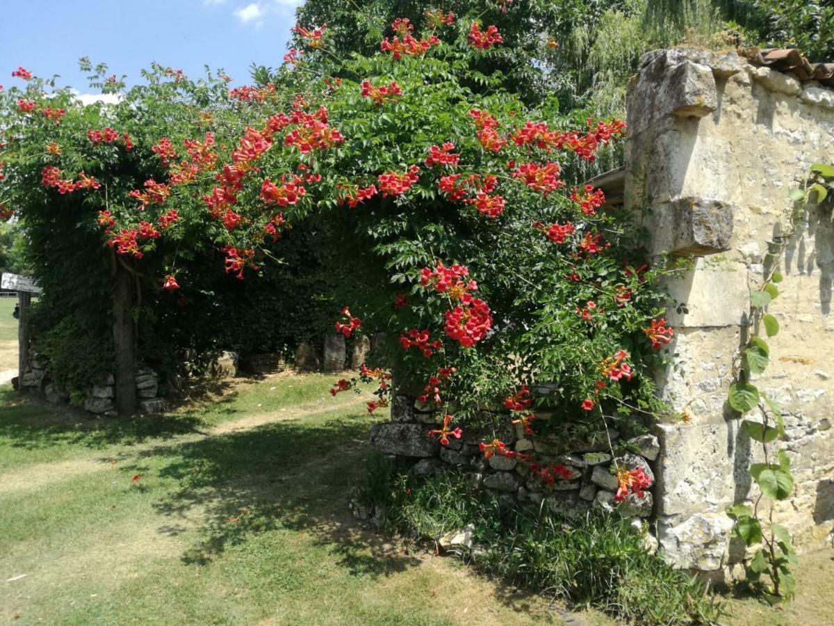 Le Gite Des 3 Saules Villa Saint-Savinien Exterior foto