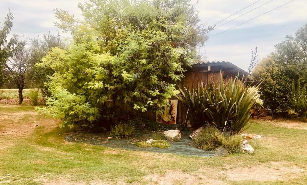 Le Gite Des 3 Saules Villa Saint-Savinien Exterior foto